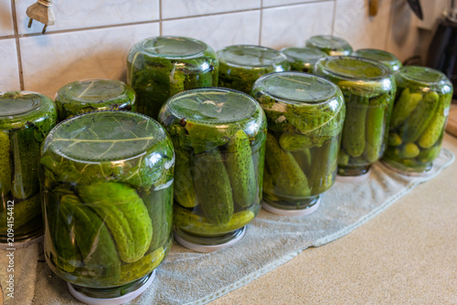 Row of Homemade Pickled Cucumber Jars Ready for Storage. Glass jars filled with freshly preserved cucumbers standing in a row on a kitchen table. Traditional home canning and food storage for winter 
