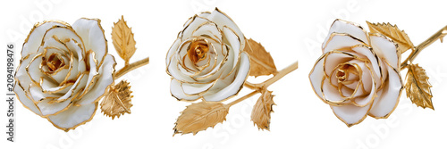 Set of Elegant white rose with metallic gold leaves on transparent background. Ai generated