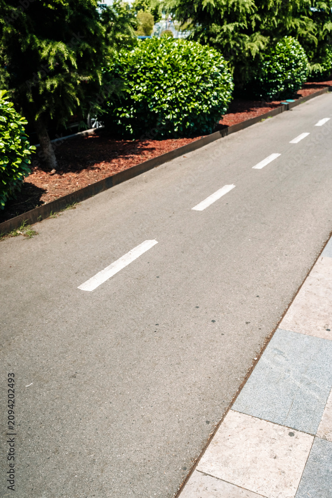 Obraz premium Urban Bicycle Path with Segmented Lane Markings and Greenery