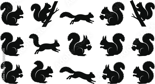 Collection of black squirrel silhouettes in various poses, some holding acorns, on white background