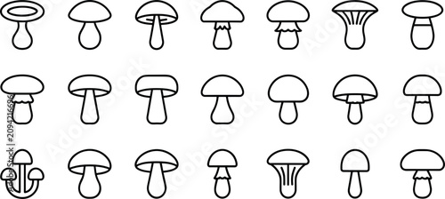 Canvastavla Edible mushrooms variety and organic fungi collection line icon set vector illus
