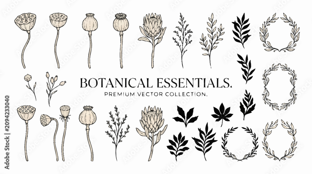 Obraz premium Botanical illustrations of flowers and leaves.