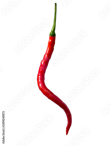 Fresh ripe red curly chili pepper with a long green stem, isolated on a white background. Hot spicy ingredient for authentic cuisine.