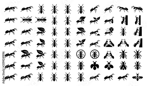 Konstfotografi Minimal Ant Silhouette Logo Collection Editable Black White Vector Set