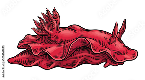 Foto Detailed illustration of a red sea slug with intricate patterns