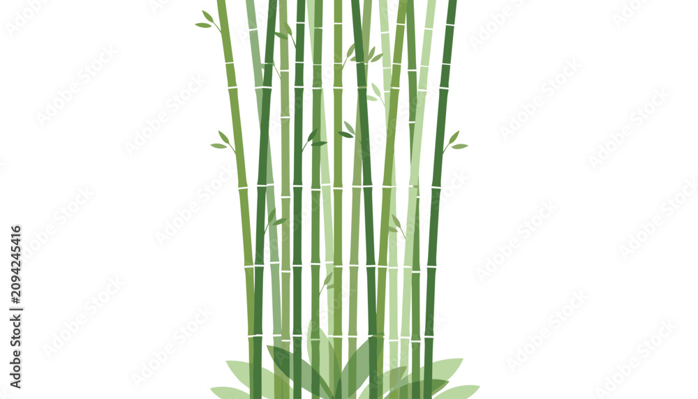 Obraz premium Green bamboo stalks and leaves growing vertically, isolated on a clean white background for creative design usage.