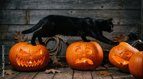 Sleek black cat walking across glowing orange Halloween jack-o-lanterns with expressive carved faces against rustic wooden background with autumn dry leaves, evoking a spooky and festive holiday vibe.