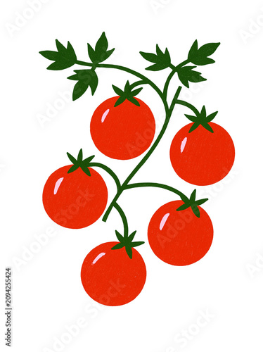 Illustration of red tomatoes on a vine black background