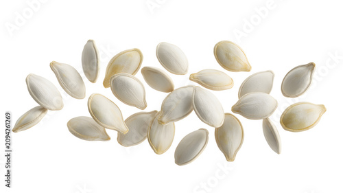 Scattered white pumpkin seeds isolated on clean background with displays scattering white seeds against healthy food gluten free nutritious with ingredient