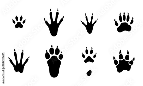 Canvas Print Animal Paw Prints Vector Icons Set, Wildlife Tracks Silhouettes, Mammal Footprin
