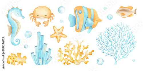 Photography Sea underwater animals collection hand painted isolated illustrations like starfish, fish, seahorse, corals, crab and bubbles