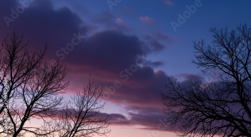 Amethyst and Rose Tinted Clouds at Twilight