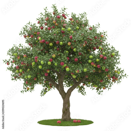 Mature apple tree with red and green fruit on a small grass patch, isolated against a white studio background with soft lighting. Concept of harvest abundance
