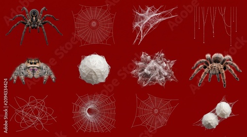 Collection of Realistic Spiders and Various Intricate Web Designs for Spooky Halloween Decorations and Natural Insect Biology Themes