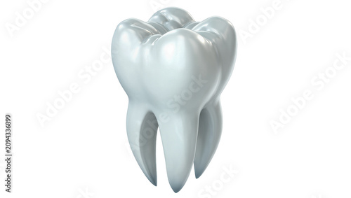 Foto Isolated detailed 3D rendering of a healthy human molar tooth anatomy for dental education