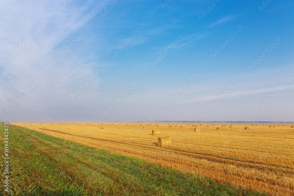 Fototapeta premium Round hay bales in golden harvested field with green grass path under blue sky, rural landscape