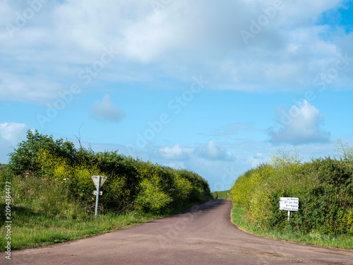 Obraz na płótnie typical hedges alongside country road in cotentin part of french normandy