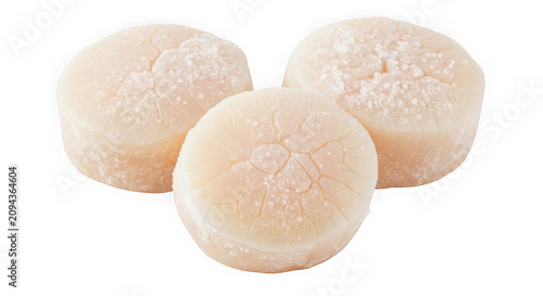 Three raw scallops isolated on transparent background gourmet seafood shellfish delicacy.