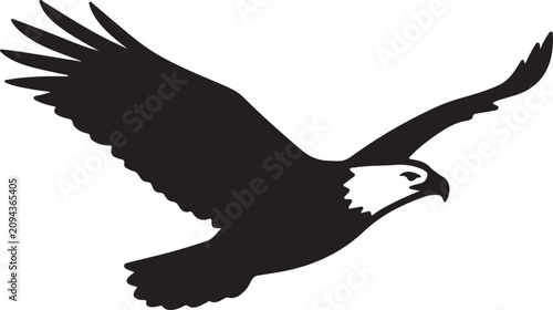 Black bald eagle flying in the sky silhouette