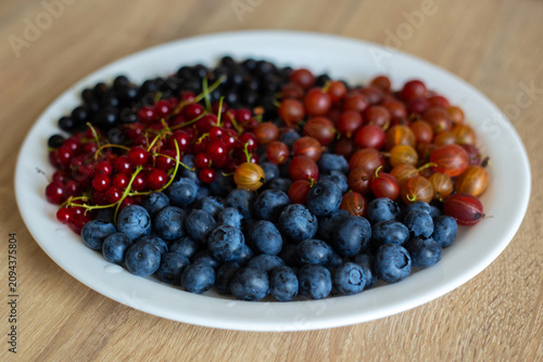 blueberries in a bowl