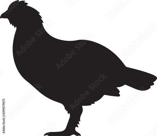 Black silhouette of a grouse bird standing