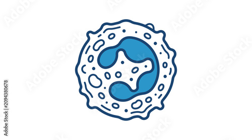 Photos Neutrophil White Blood Cell Vector Illustration