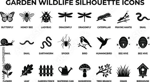 Картината върху платно Backyard ecosystem line art silhouettes, organic flora and fauna vector elements