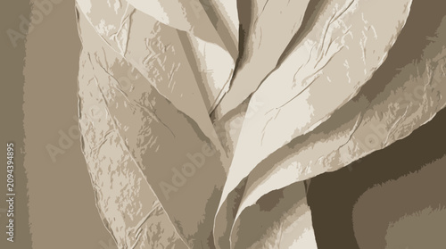 Large beige leaf close up details.
