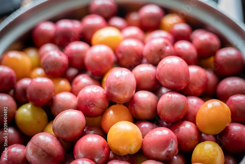 Foto Freshly washed cherry plums (Prunus cerasifera) in a metal bowl, high angle clos