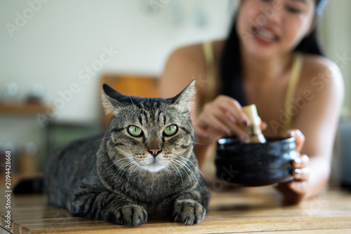 A beautiful tabby cat sits in sharp focus on the kitchen counter while its owner prepares matcha green tea in the blurry background.