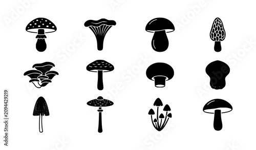 Photos Black silhouette mushroom collection diverse fungal species vector illustration