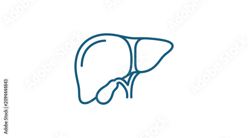 Human Liver and Gallbladder Outline Icon