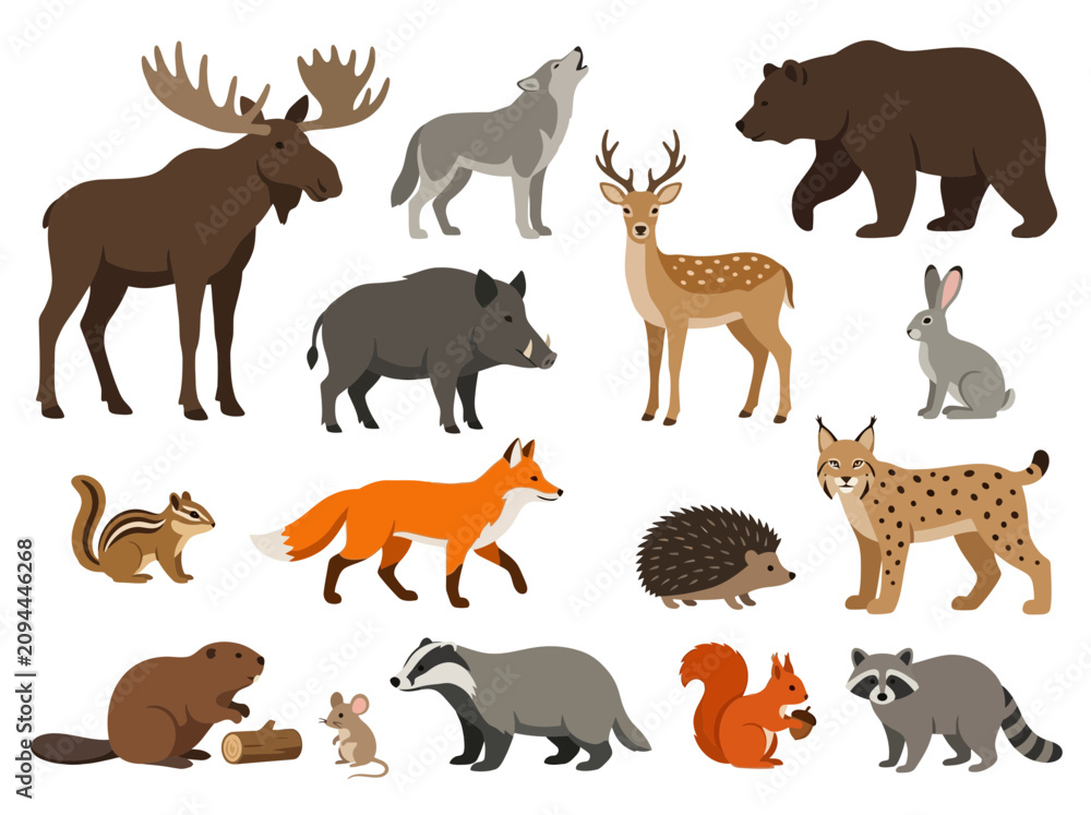 Obraz premium Collection of diverse woodland forest animals illustrated in a charming cartoon style on a clean background