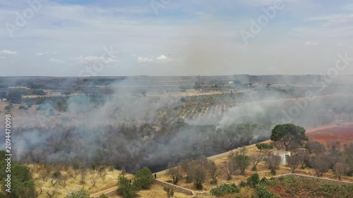 Incendio in campagna visto dall'alto