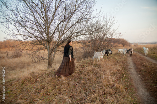 Tableau sur toile female shepherd with herd of goats in rural in autumn