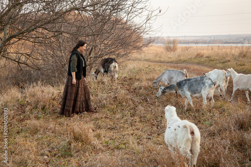 Obraz na plátně female shepherd herd of goats in autumn meadow
