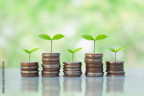 Money saving and investment concept with young green seedlings growing from coin stacks. Symbolizing financial planning, wealth management, sustainable finance, ESG investment, and future prosperity.
