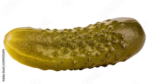 Obraz na plátně Isolated single green pickled gherkin cucumber vegetable, healthy snack food ing