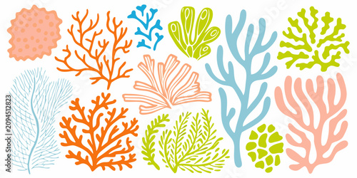 Foto Colorful Underwater Plant Designs Vector Illustration On White Background