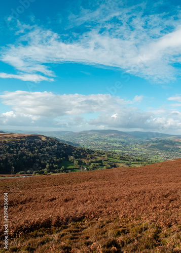 A breathtaking landscape view of the Brecon Beacons National Park in Wales, featuring a vast, rust-colored bracken-covered moorland in the foreground overlooking a verdant valley, rolling hills.