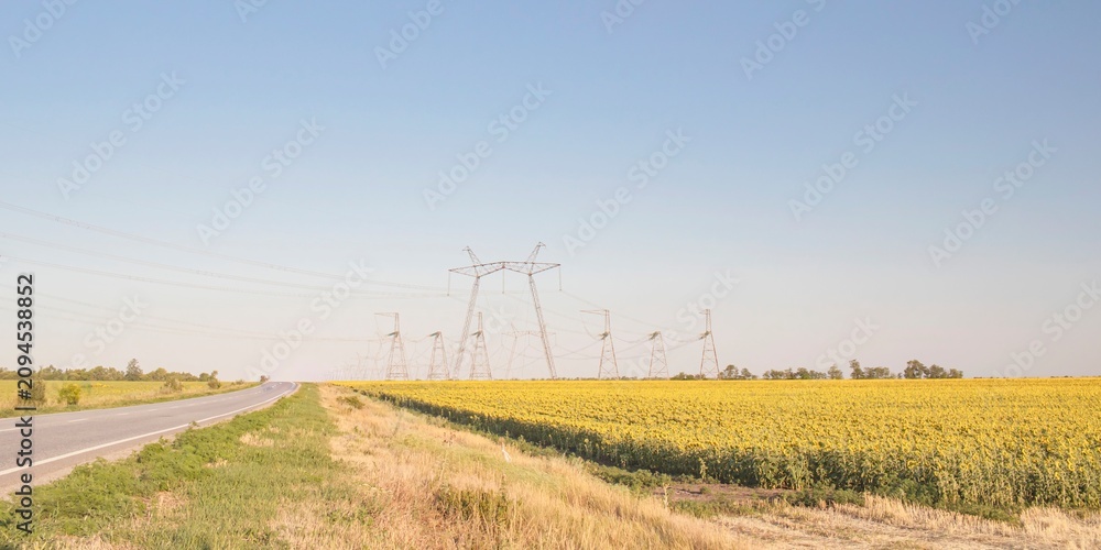 Obraz premium High voltage power lines over rural landscape with road and fields. Power pylons in rural area during harvest season.