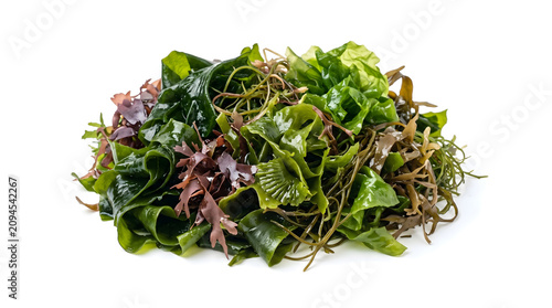 Fresh variety of organic seaweed mix with green, red and brown algae isolated on white background