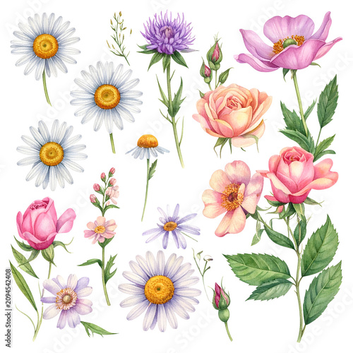 Vibrant Floral Bouquet with Daisies Roses and Peonies in Bright Colors