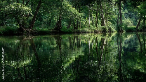 Calm Forest River with Perfect Tree Reflections in Peaceful Natural Landscape