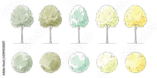 Obraz na płótnie Set of sketch style hand drawn deciduous trees in front and top view with soft w