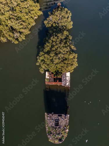 Shipwreck with forest growing out of its rusty hull on sunny day from top down aerial view in vertical format. Wreck is located in Homebush Bay, Parramatta river, Sydney Australia.
