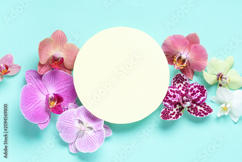 Colorful orchid flowers sur...