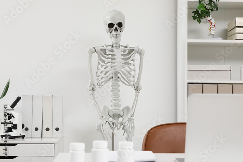 Human skeleton model near l...