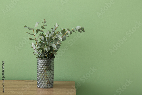 Vase with eucalyptus branch...