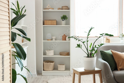 Cozy sofa, houseplant and s...